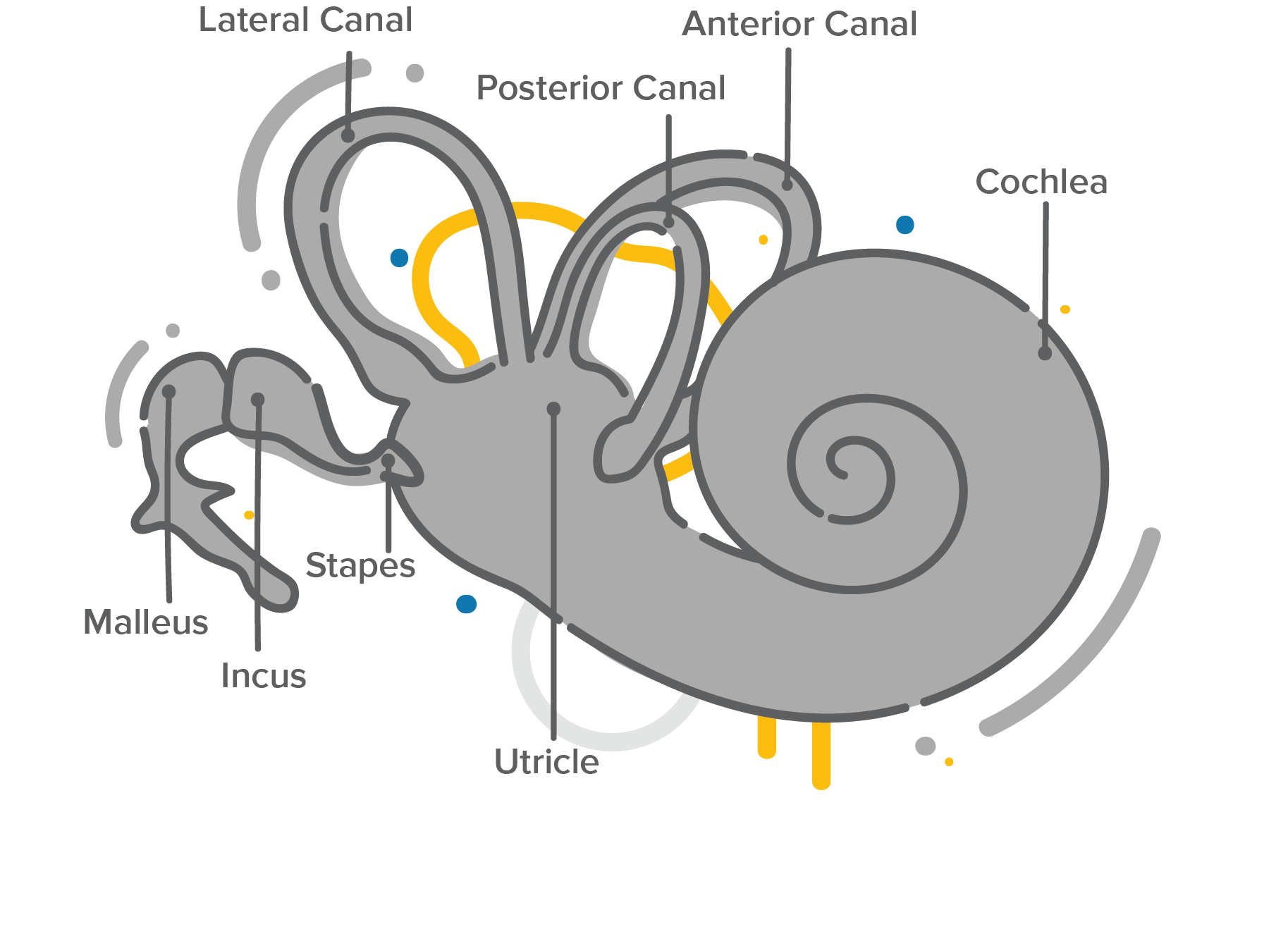 Tinnitus ear